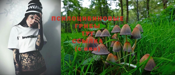 каннабис Бородино