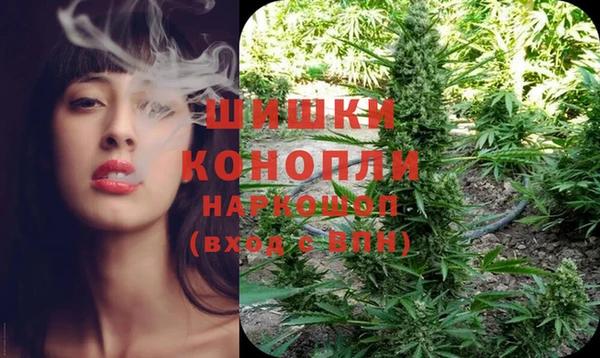 каннабис Бородино