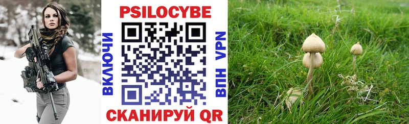 Галлюциногенные грибы мухоморы  Сыктывкар 